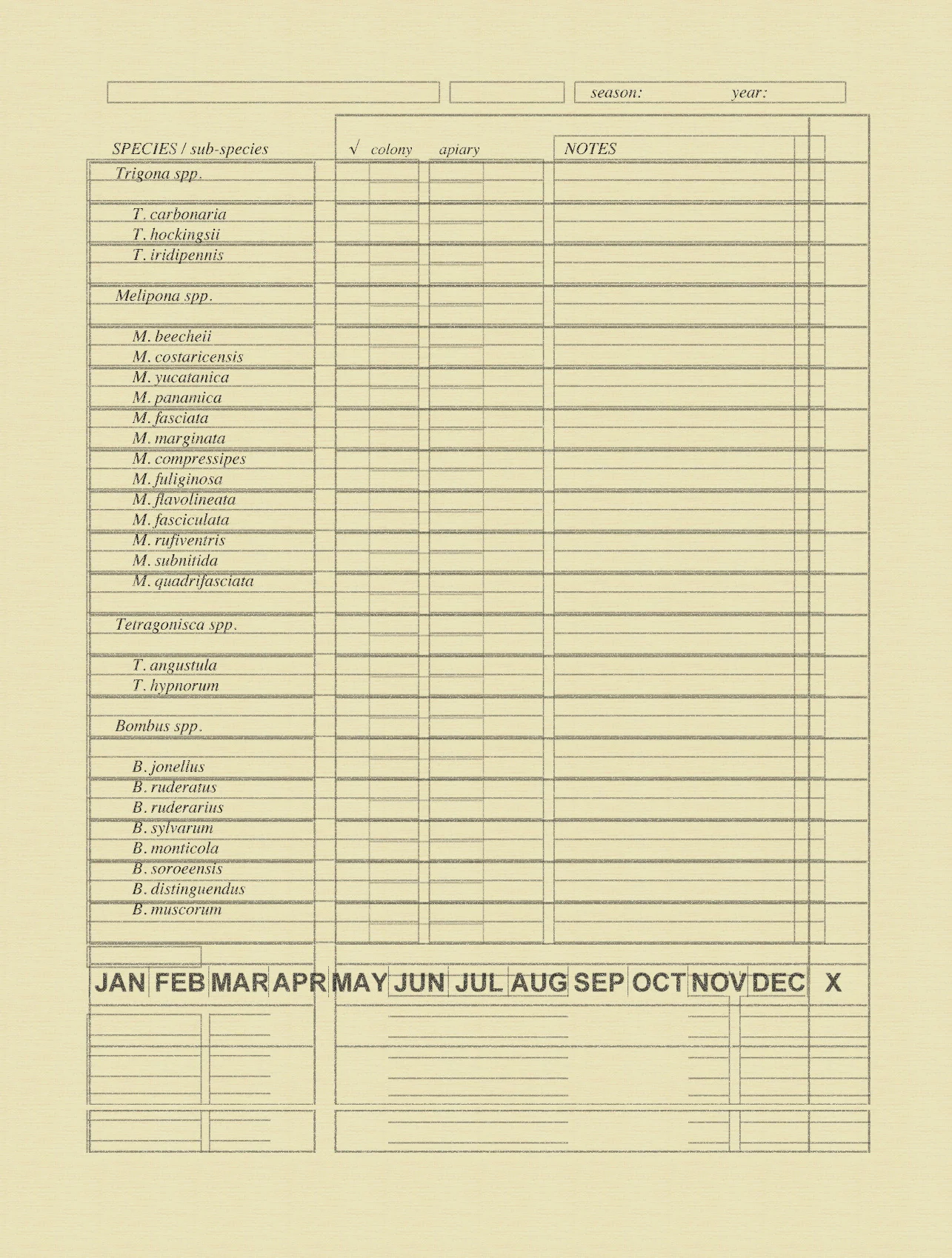 Topsheet yellow 70.jpg